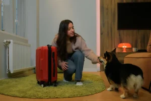 How Long Can You Leave a Dog Home Alone in Jacksonville