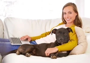 How Much Does a Pet Sitter Cost in Jacksonville, FL