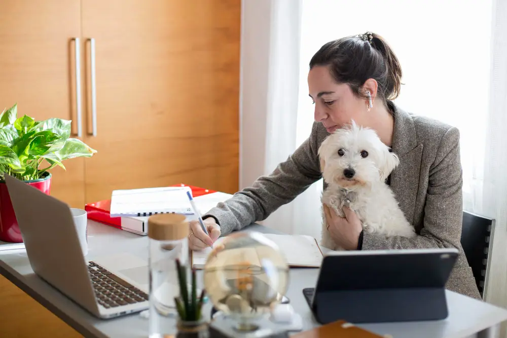 Is In-Home Pet Care Worth the Cost