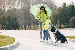 Pet Care Tips for Jacksonville's Rainy Season