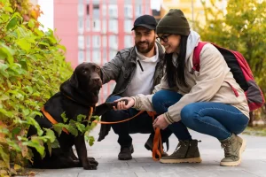 Rover vs Local Pet Sitter in Jacksonville Which Is Better