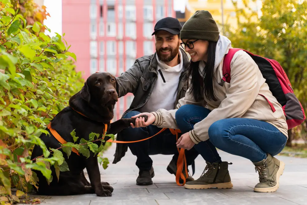 Rover vs Local Pet Sitter in Jacksonville Which Is Better