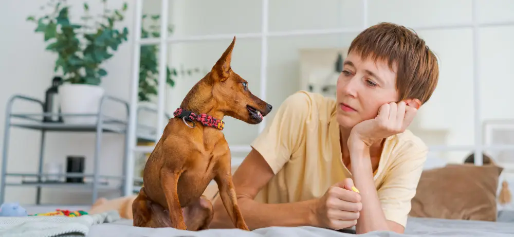 Signs Your Pet Needs More Daily Care and Attention