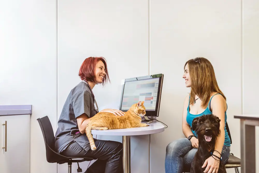 What to Look for Before Hiring a Pet Sitter in Jacksonville