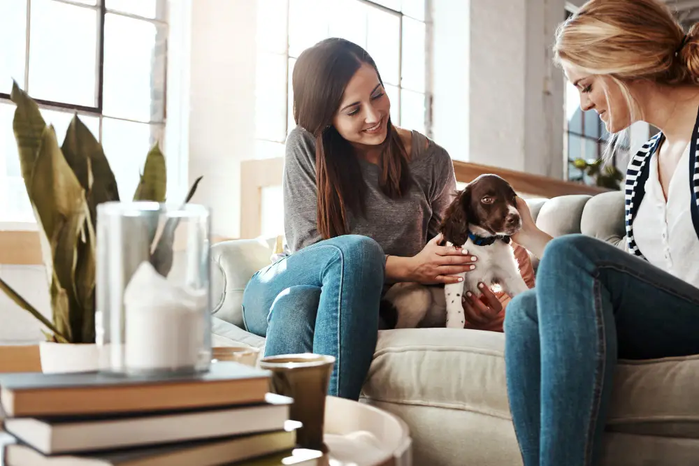 What to Tell Your Pet Sitter Before You Leave