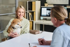 Why You Should Only Hire an Insured Pet Sitter in Jacksonville