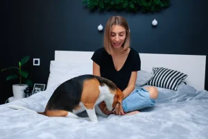 Why Overnight Pet Care at Home Beats Every Other Option for Anxious Dogs