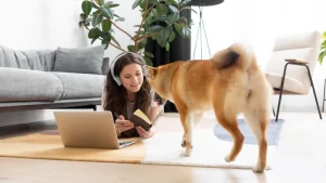 Bringing Home a Second Pet Introduction Protocols That Work