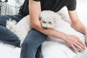 Dog Separation Anxiety A Long-Term Treatment Guide