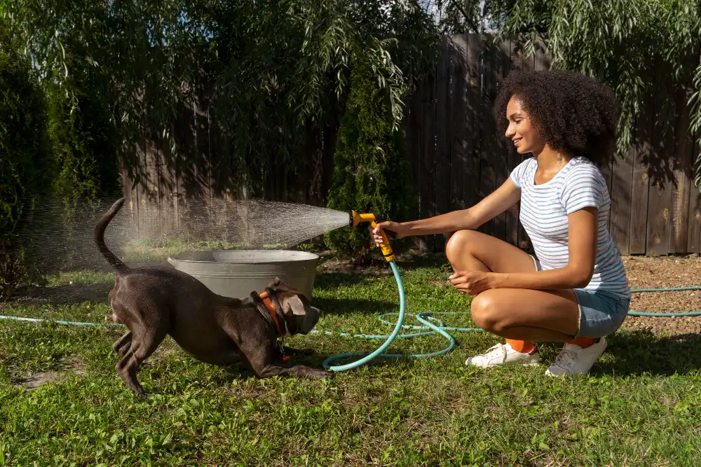 Lawn Chemicals and Pet Safety in Florida Yards