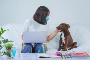 Microchipping Your Pet in Jacksonville Where, Cost, How