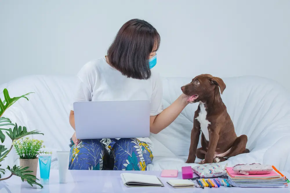 Microchipping Your Pet in Jacksonville Where, Cost, How