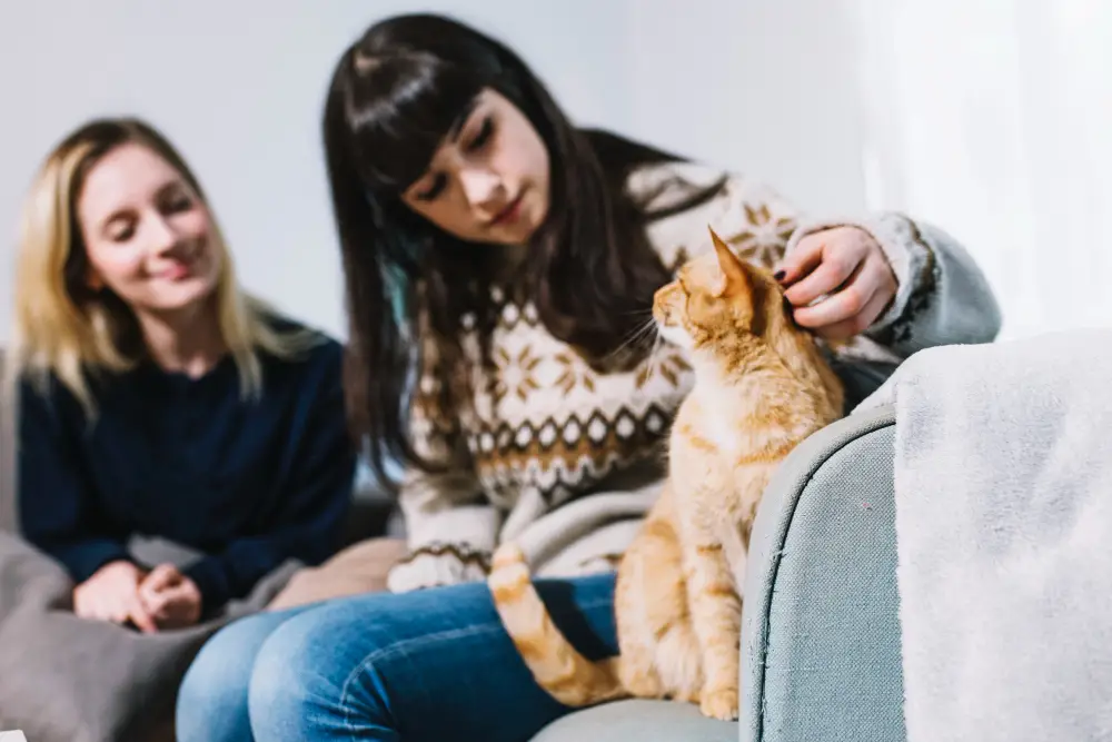Multi-Cat Households What Your Jacksonville Sitter Needs to Know