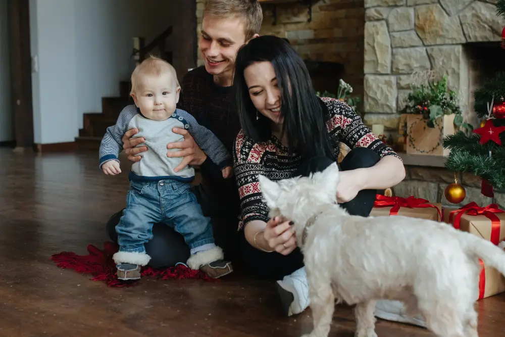 New Baby Plus Family Dog A Jacksonville Transition Guide