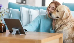 Pet Insurance for Jacksonville Owners An Honest Decision Guide