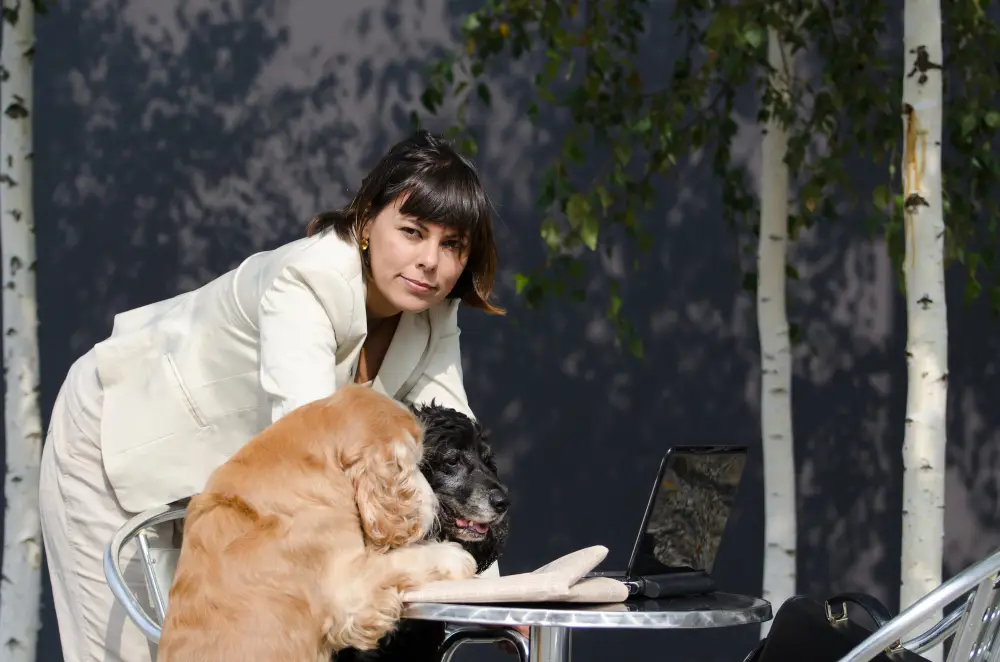 Pet Owner Life Transitions A Jacksonville Guide