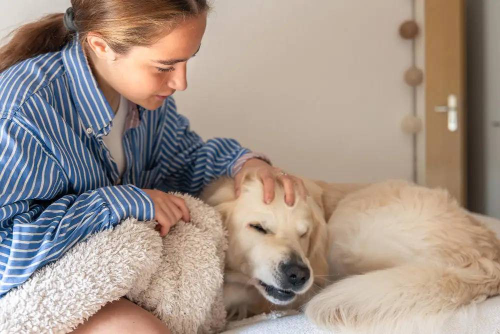 Recognizing Pain in Dogs and Cats Subtle Signs Owners Miss