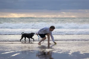 Saltwater and Beach Swimming Risks for Dogs at Jacksonville Beaches