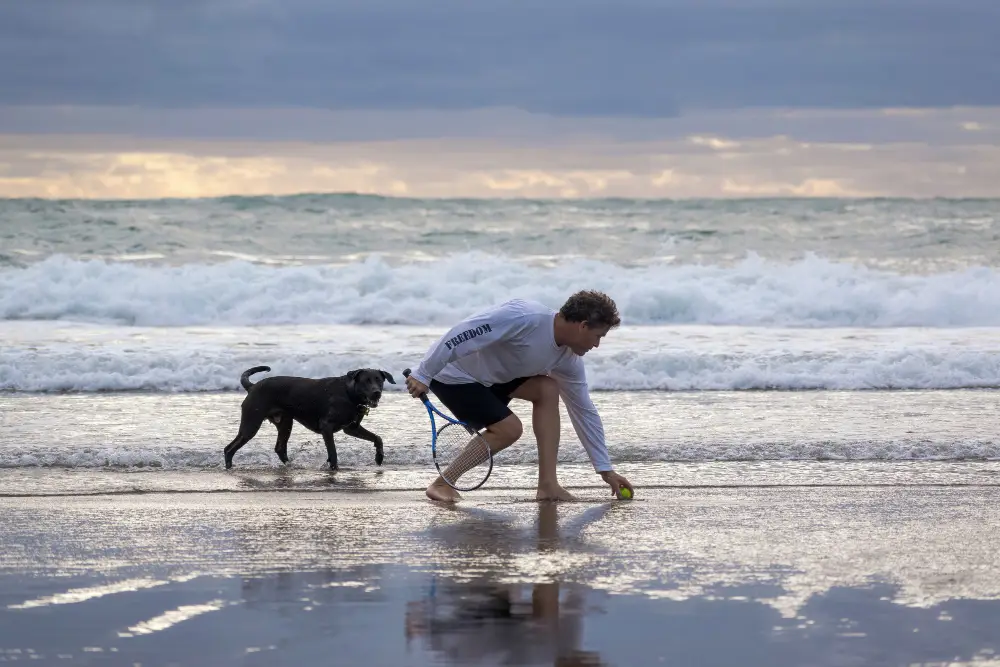 Saltwater and Beach Swimming Risks for Dogs at Jacksonville Beaches