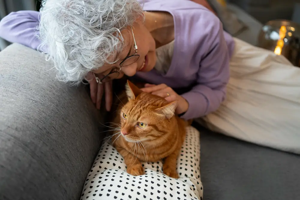 Senior Cat Care How to Tell When Your Older Cat Needs More Help