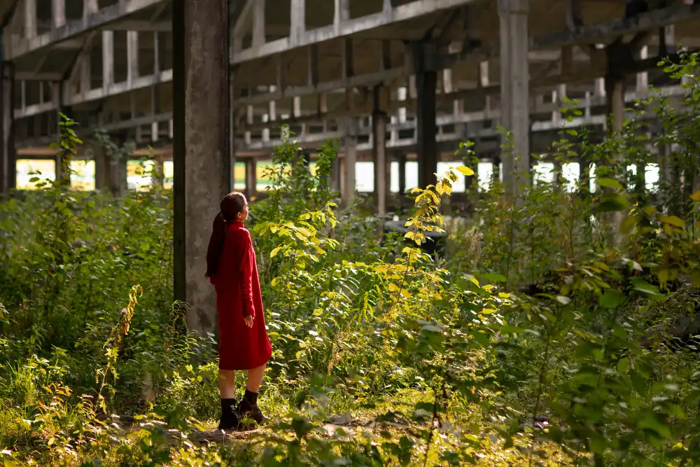 Toxic Plants in Jacksonville Yards and Homes
