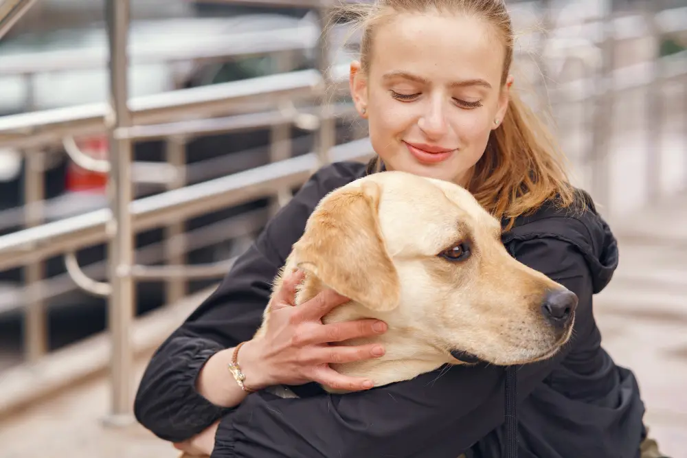 Welcoming an Adopted Rescue The First 30 Days