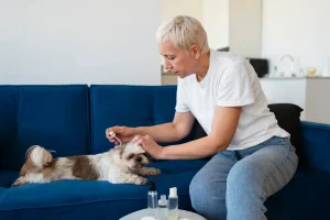 Medication Administration for Pets What to Expect From a Trained In-Home Sitter